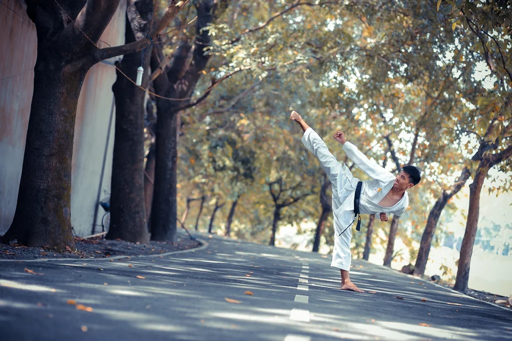 all i needed to know i learned from martial arts