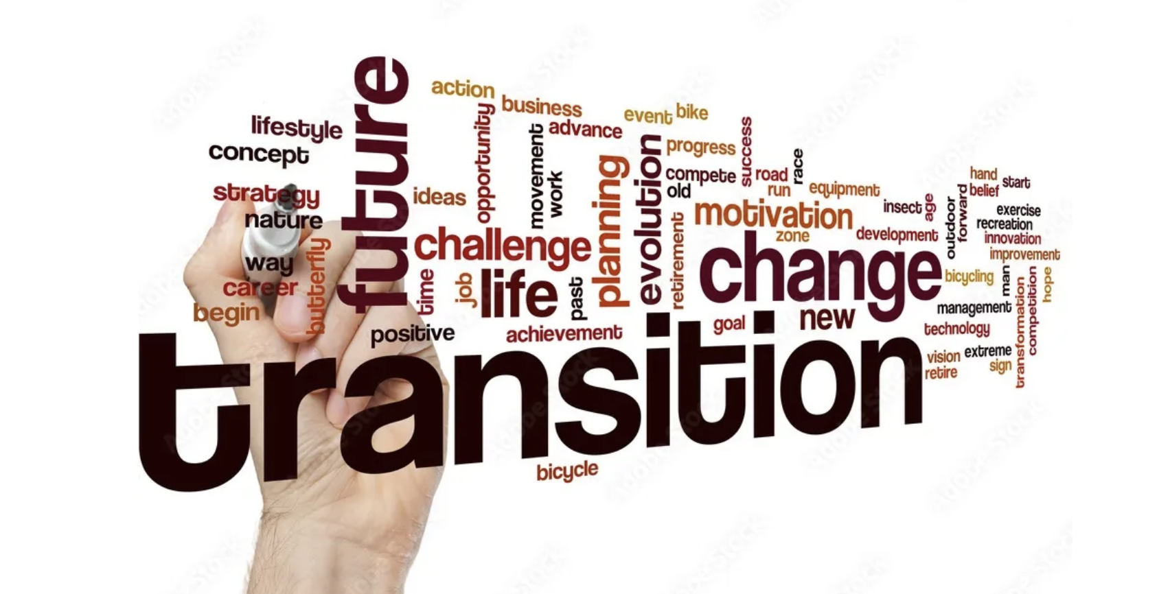 transitions and losses